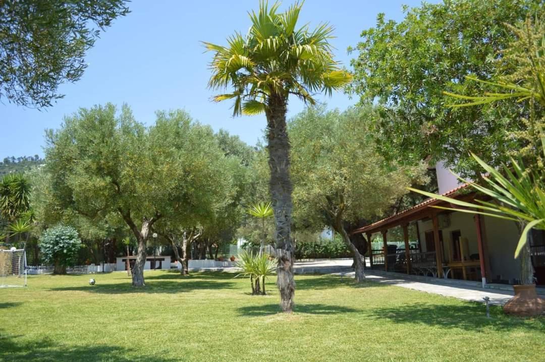 Delfino Hotel Mola Kaliva Exterior foto